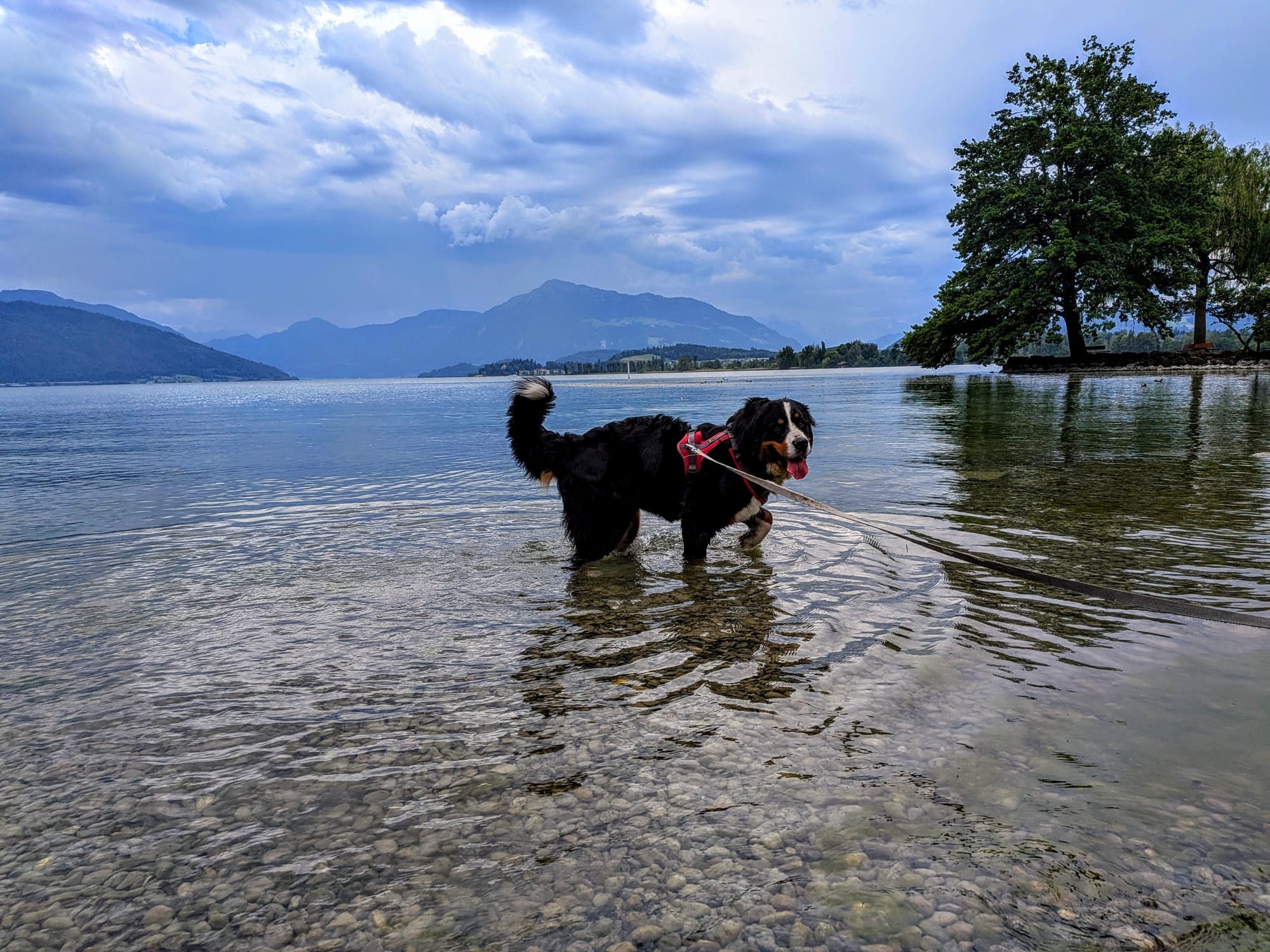 Abkühlen in Wasser