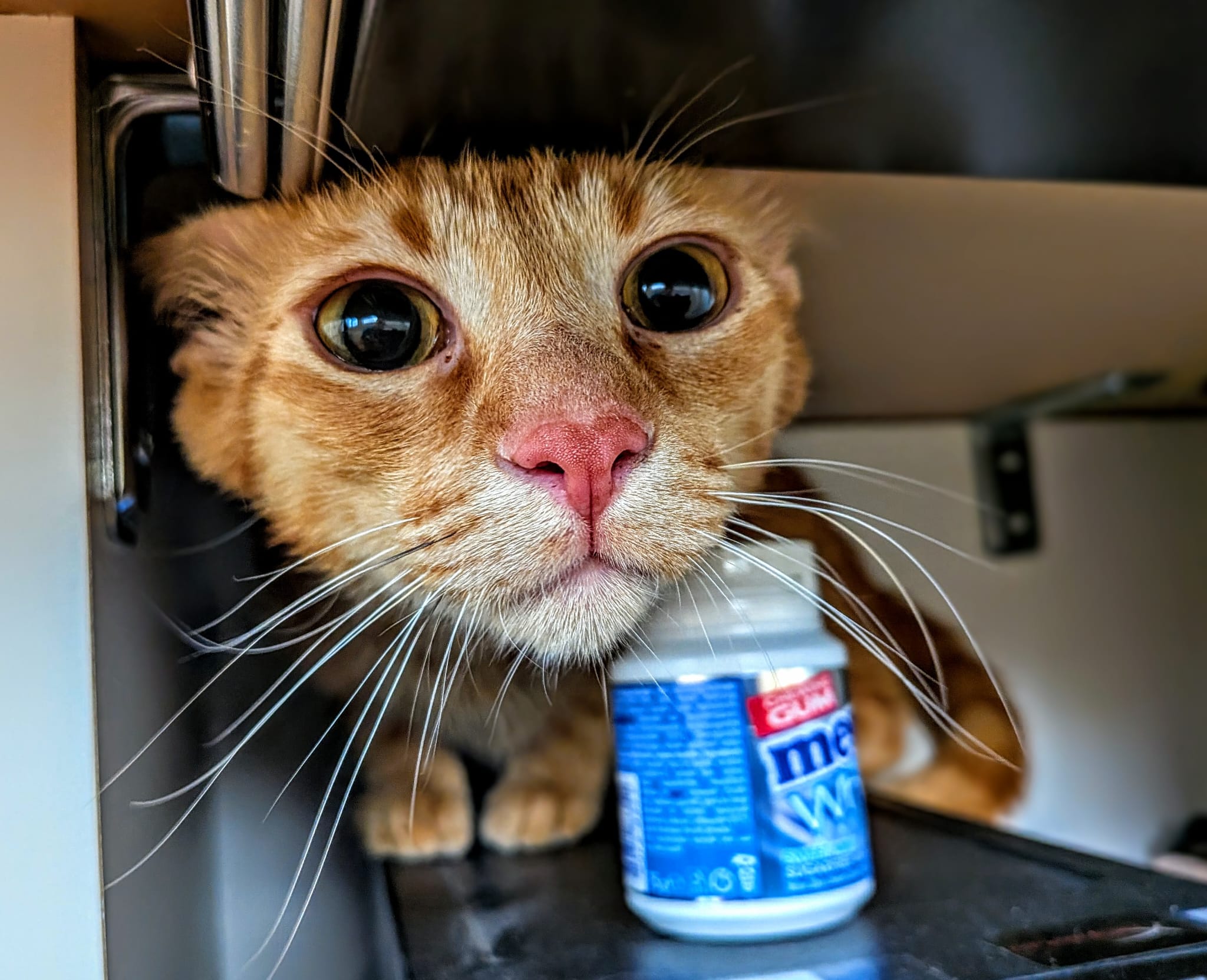 Hier, neben dem PC, findet mich sicher niemand